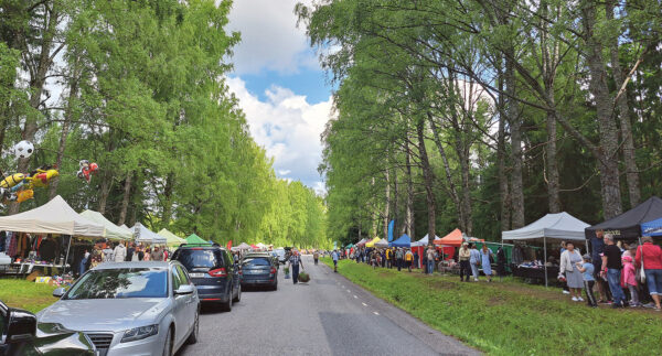 Laadup&auml;iv Ihamaru k&otilde;iv&otilde; all