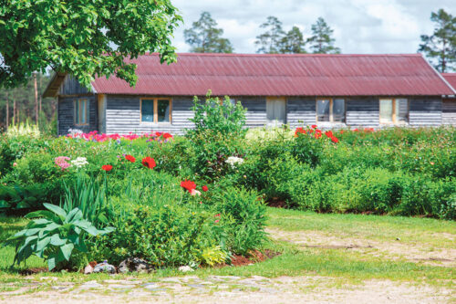 Seokev&auml;j&auml;ne L&auml;ti-reis lilliaidu pite