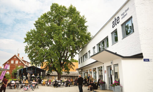 Jutup&auml;iv avit&rsquo; mikandi luujil inemiisil ummi tegemiisi selgemb&auml;s m&auml;rki