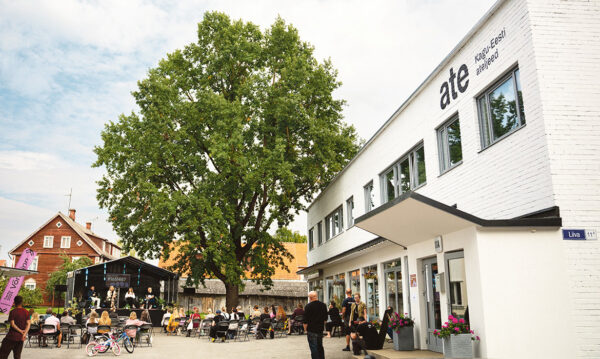 Jutupäiv avit’ mikandi luujil inemiisil ummi tegemiisi selgembäs märki