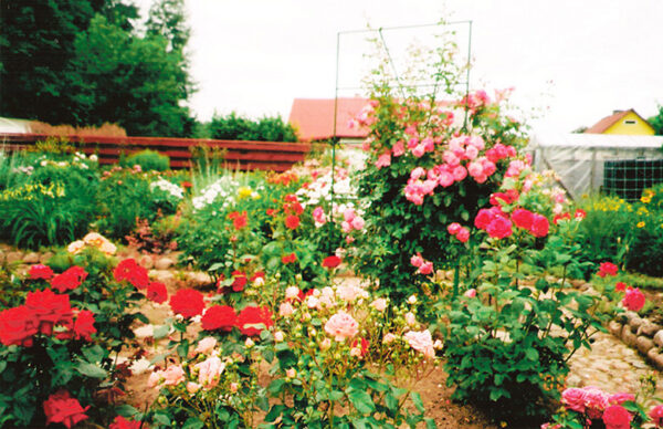 K&uuml;mme koto. K&uuml;mnes kodo