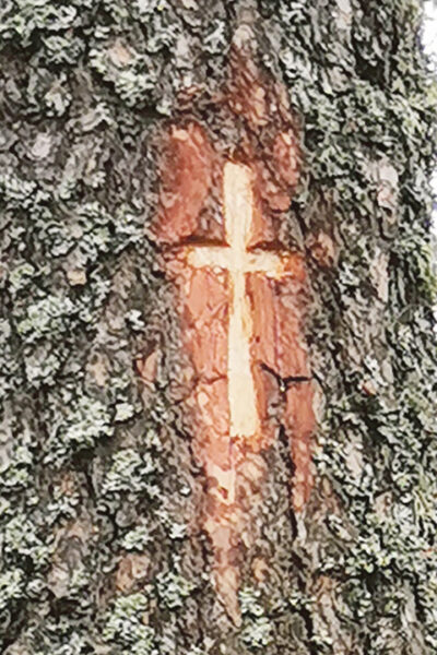 Periselt ol&otilde; ei asi &otilde;nn&otilde; ristipui&otilde;n