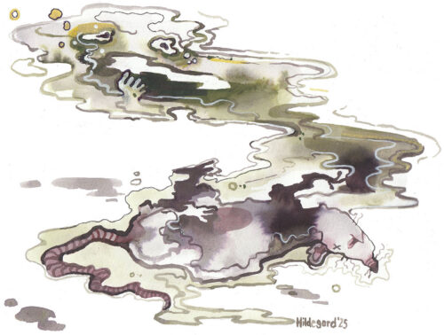 L&otilde;pnuisi hiiri elo&otilde;nn&otilde;-opitunni