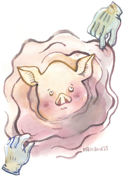 Tsianaha vid&auml;mine