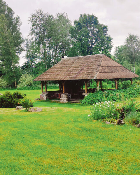 T&auml;vvelist ol&otilde;-i mid&auml;gi, a &otilde;nn&otilde; jaos om siski k&uuml;l&auml;nd veid&uuml; vaia