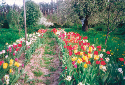 Kuuvõs ammõt – aidnik