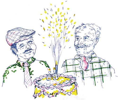 Vilust&otilde; Villi s&uuml;nn&uuml;p&auml;&auml;v&auml;plaani