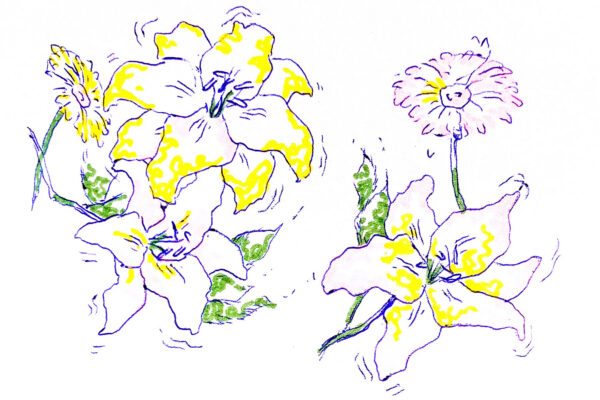 Põlvõpikku poiskõnõ