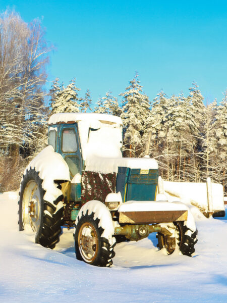 Vigurivändäst veli