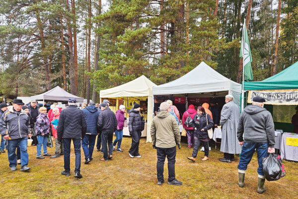 Lindora laat – midägi püsüvät taan muutuvan ilman