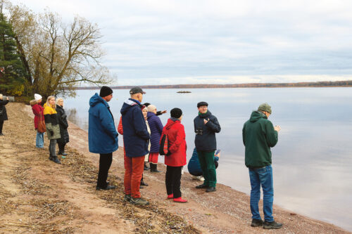 Kogokunnafoorum Mehikuurman