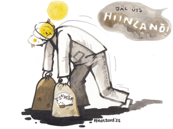 L&auml;h&auml; t&otilde;ist&otilde; liivakasti m&auml;ngm&auml;!