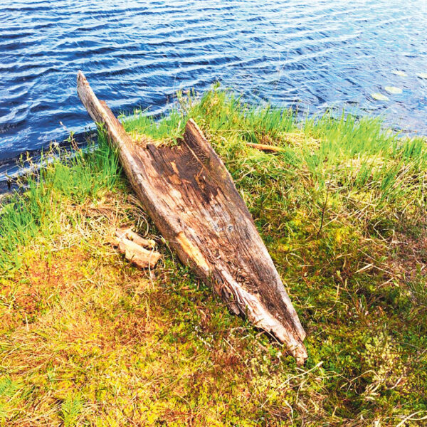 Eesti kõgõ vanõmb sõiduriist