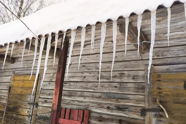 Kevv&auml;i tull&rsquo; tinavaasta nigu maru &auml;kki?