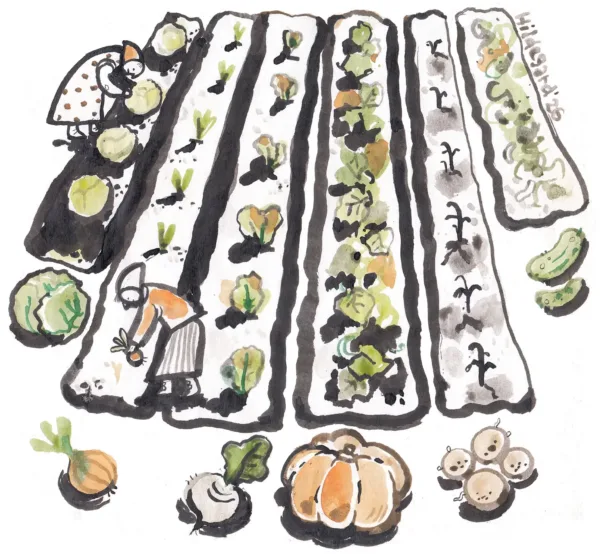 Potip&otilde;llundus