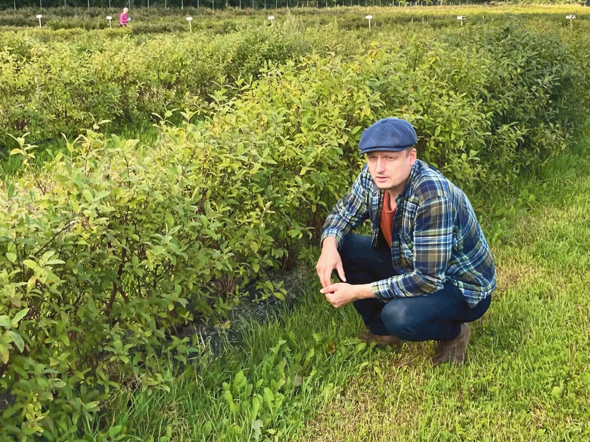Vahtsõ löüdmise mar’amaailman