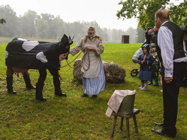 Mehkamaal peeti juubõlipitu